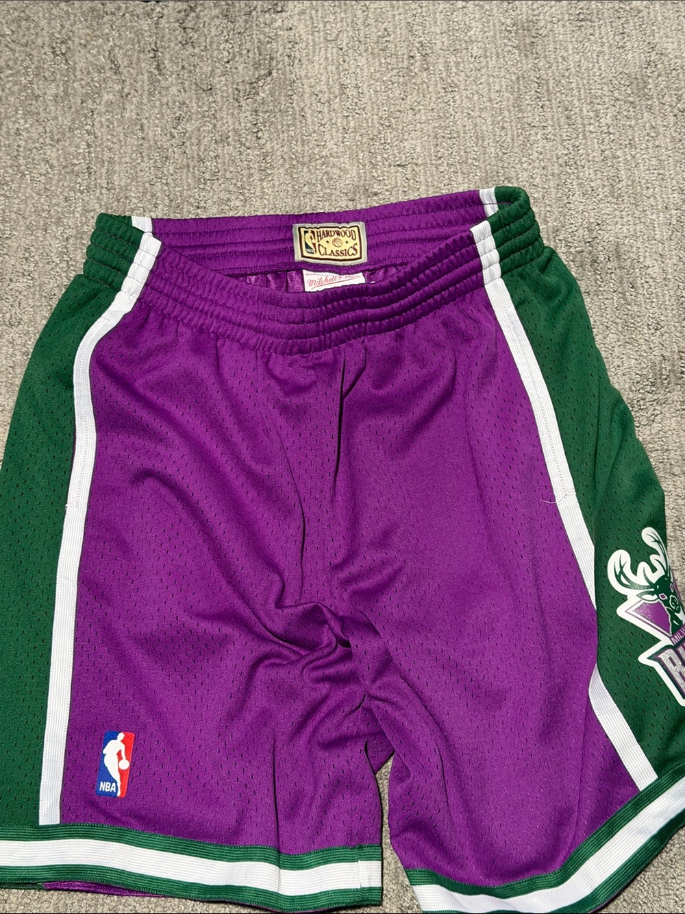 Mitchell & Ness Purple and Green Hardwood Classics NBA Shorts
